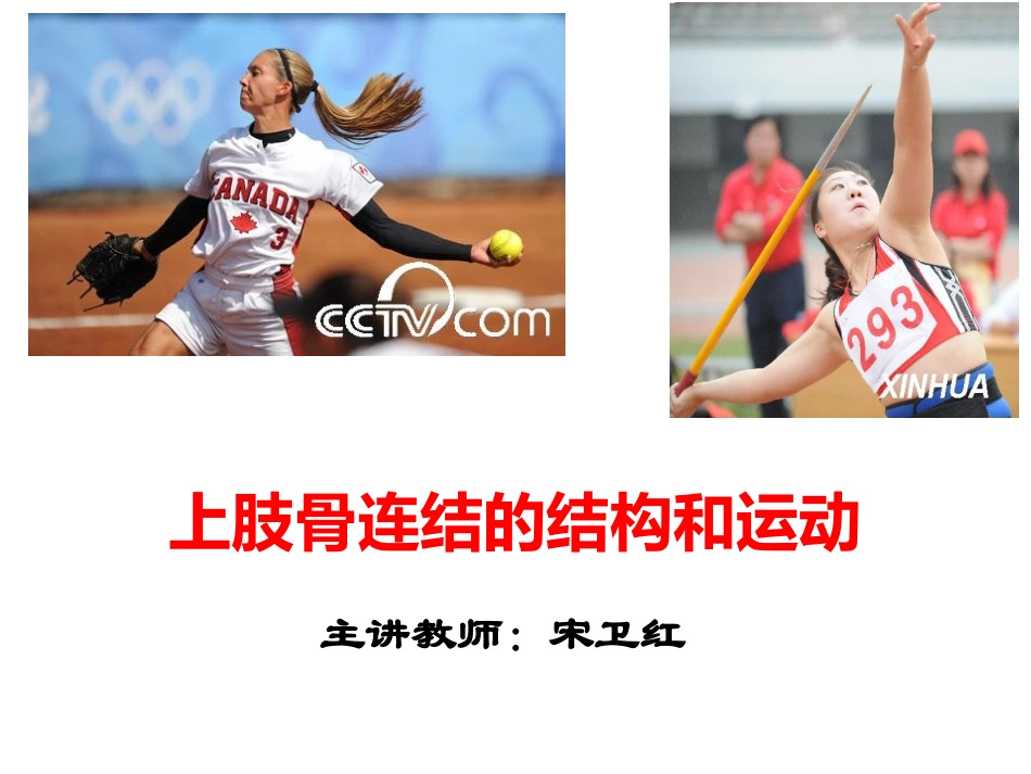 上肢关节讲述_第1页