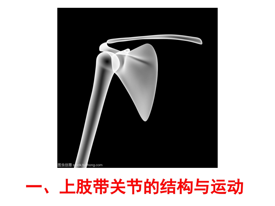 上肢关节讲述_第3页