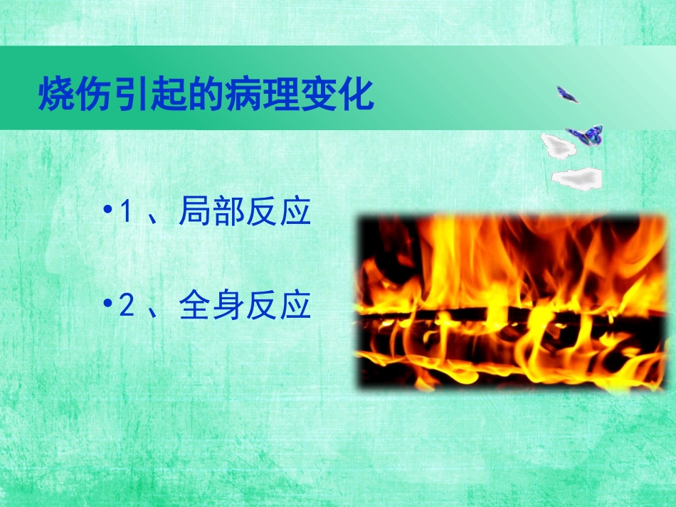 烧伤护理查房_第3页