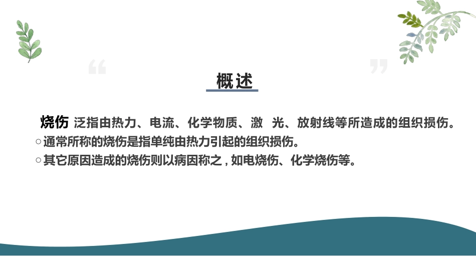 烧伤业务学习_第2页