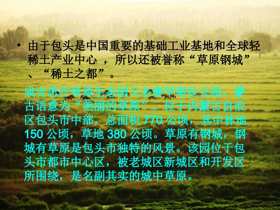 舌尖上的内蒙古美食_第3页