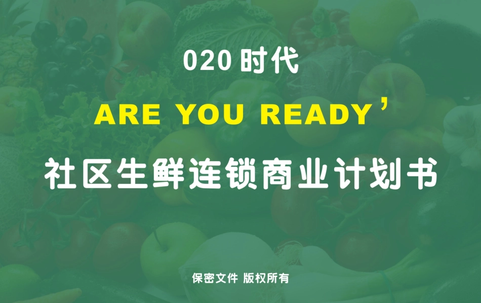 社区生鲜连锁商业计划书_第1页