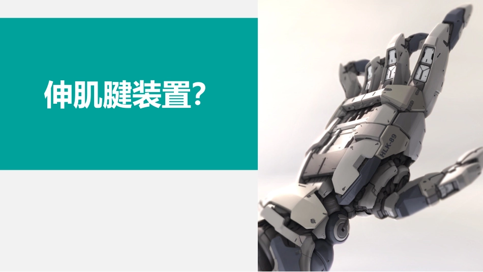 伸肌腱的损伤_第2页