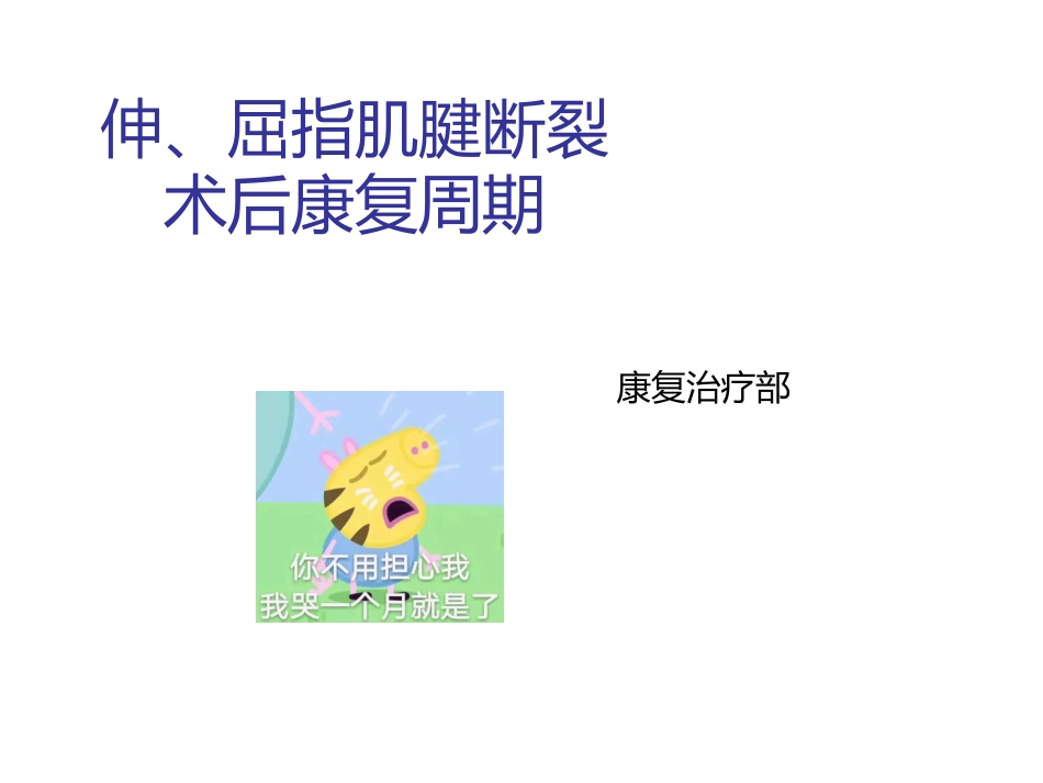 伸屈指肌腱断裂术后康复_第1页