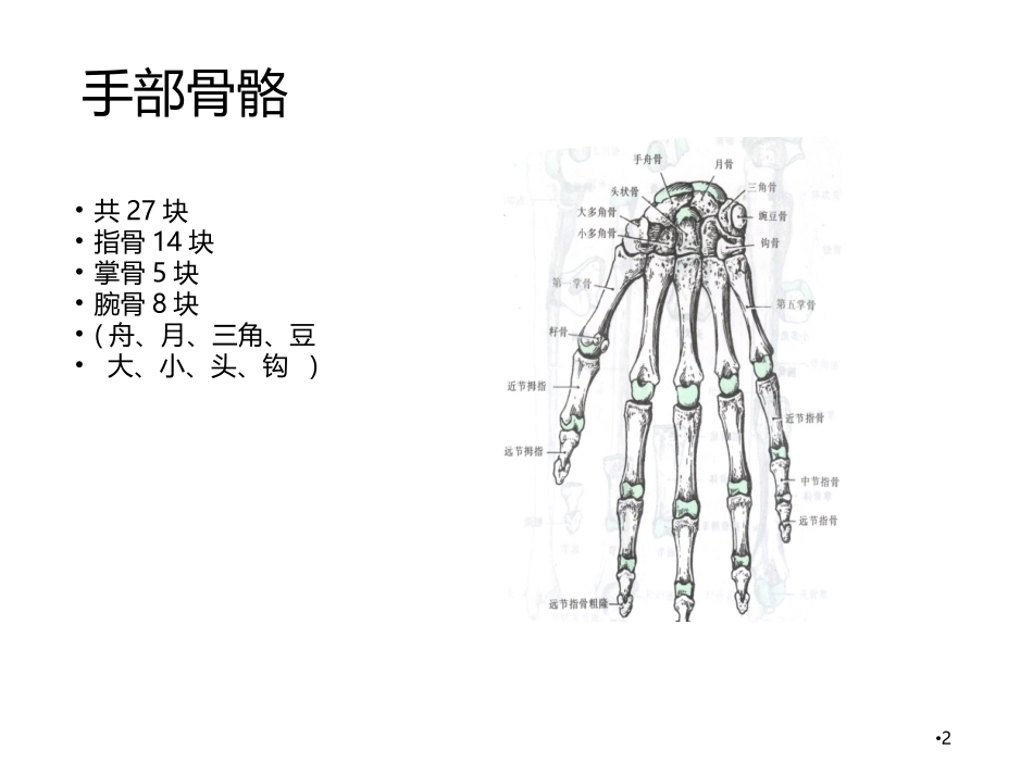 伸屈指肌腱断裂术后康复_第2页