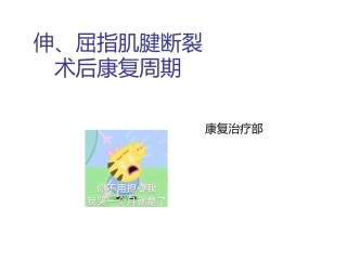 伸屈指肌腱断裂术后康复