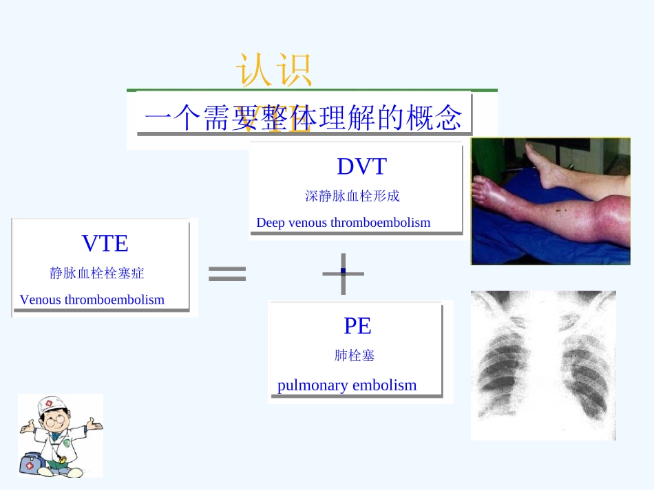 深静脉血栓预防和护理_第3页