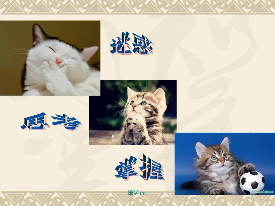 神经病学中枢神经系统定位_第2页