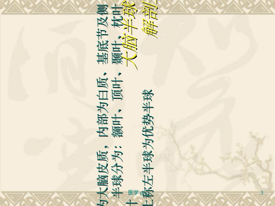 神经病学中枢神经系统定位_第3页