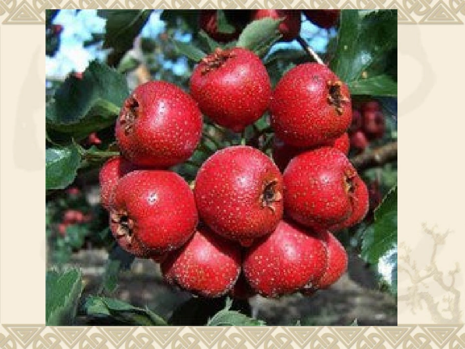 神经调节的基本方式_第2页