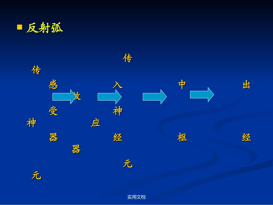 神经反射诊疗学查体_第2页