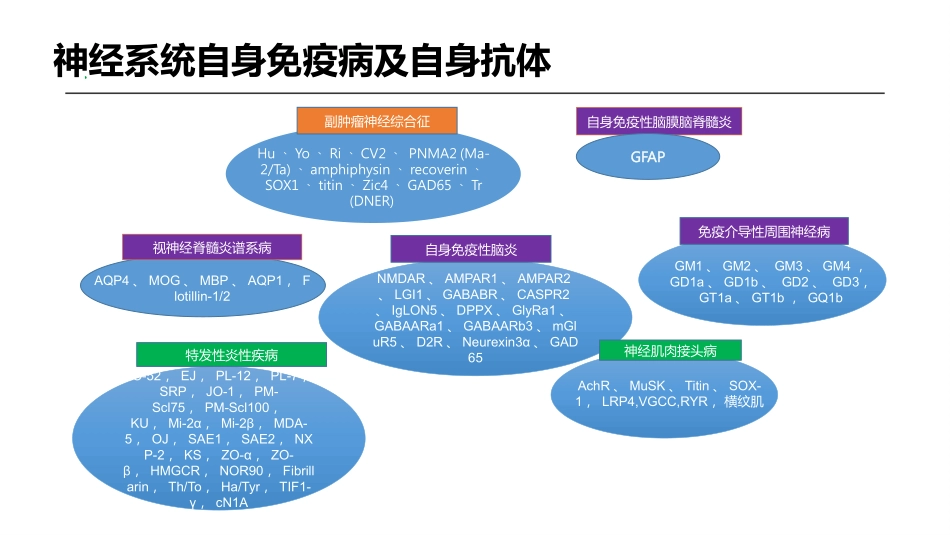 神经免疫疾病相关抗体介绍_第3页