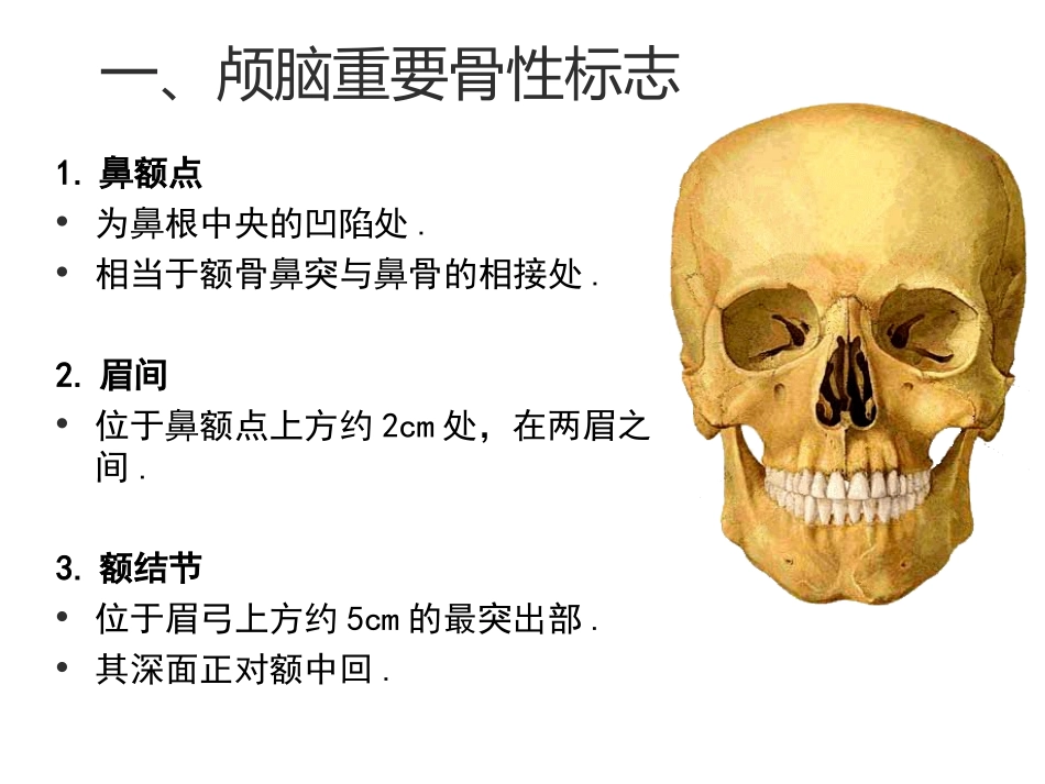 神经外科手术入路设计头皮颅骨解剖知识最终版_第2页