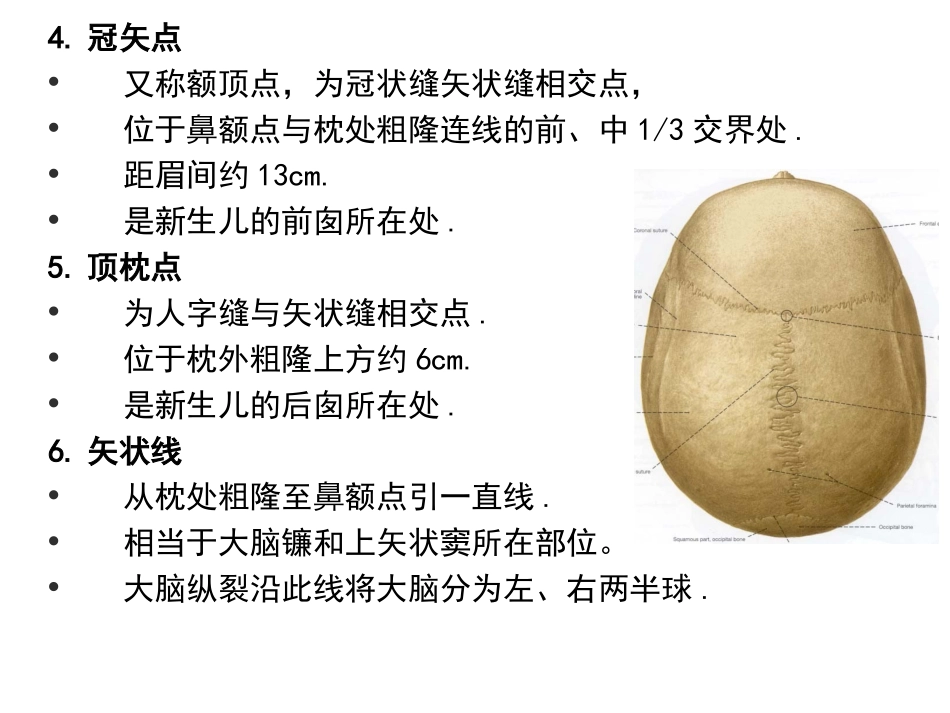 神经外科手术入路设计头皮颅骨解剖知识最终版_第3页