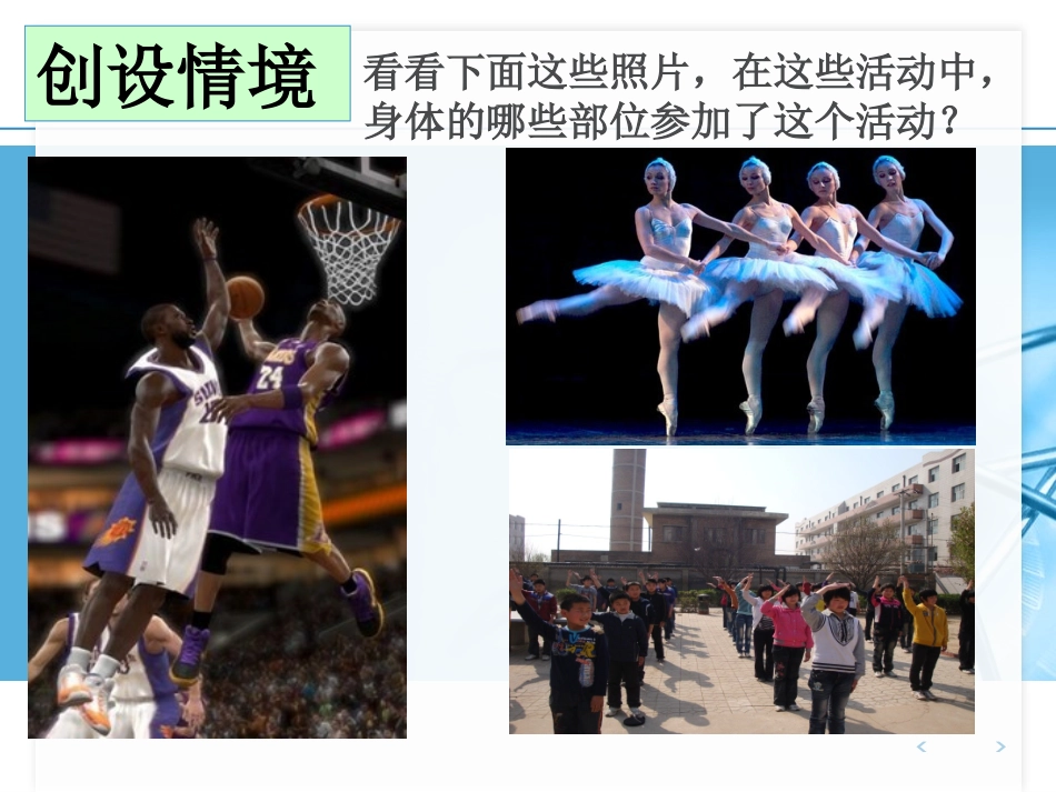 神经系统的组成优质课_第2页