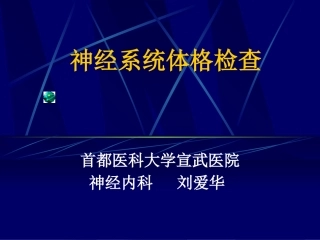 神经系统检查方法