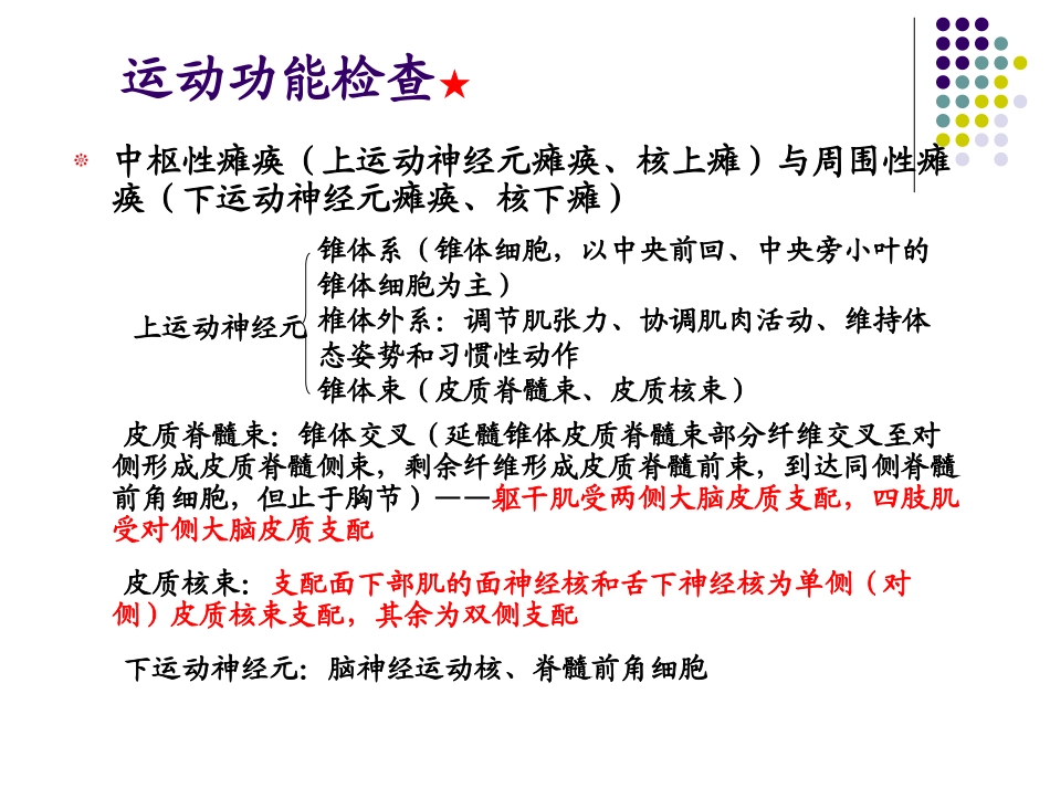 神经系统讲解_第3页