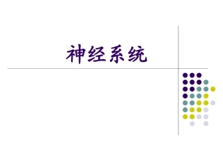 神经系统讲解