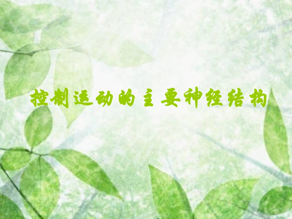 神经系统运动功能检查完整_第2页