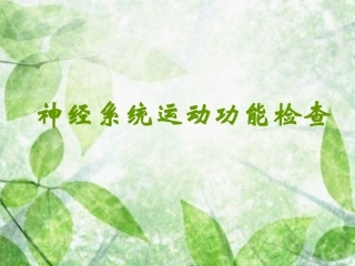 神经系统运动功能检查完整
