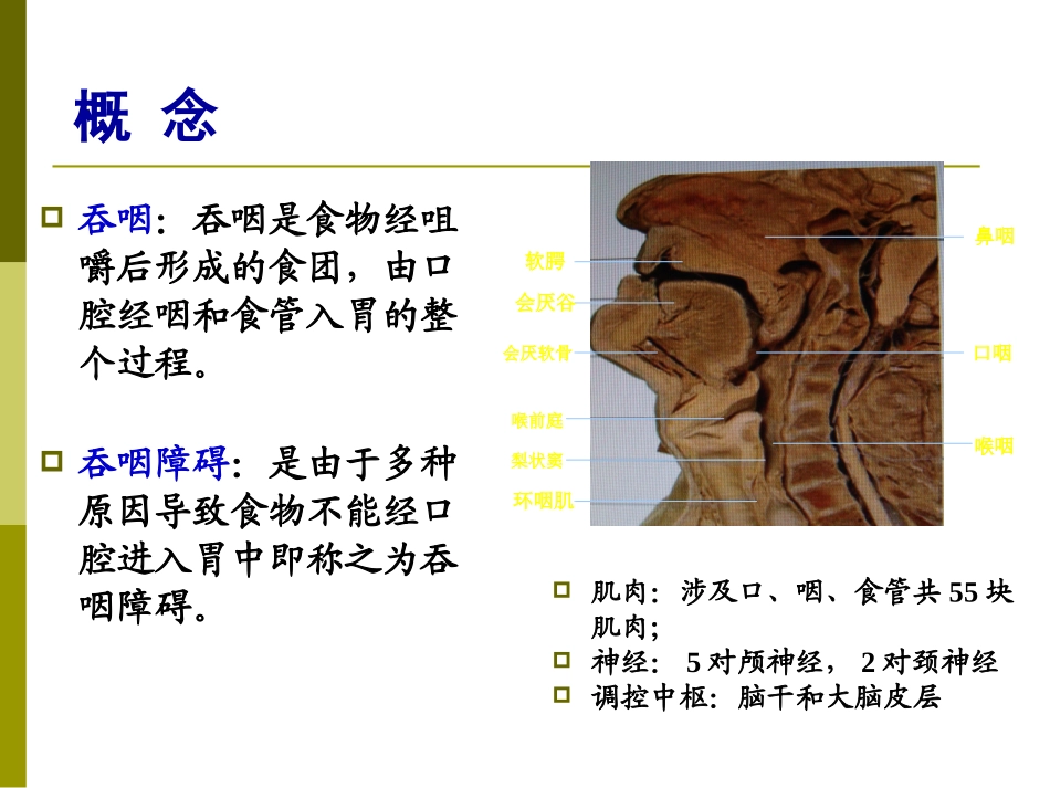 神经性吞咽障碍的治疗_第2页