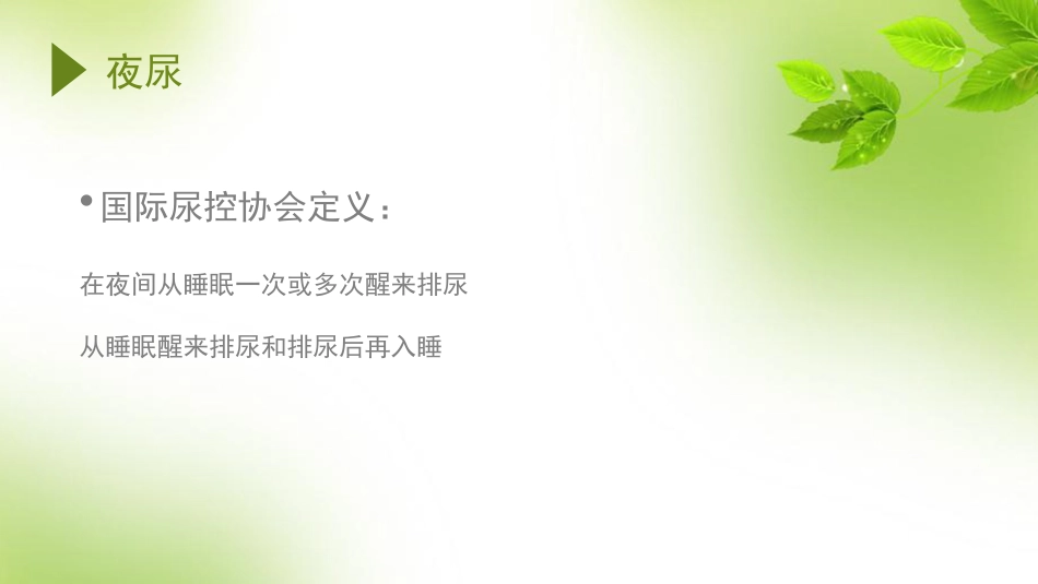 神经源性膀胱的夜尿处置策略_第2页