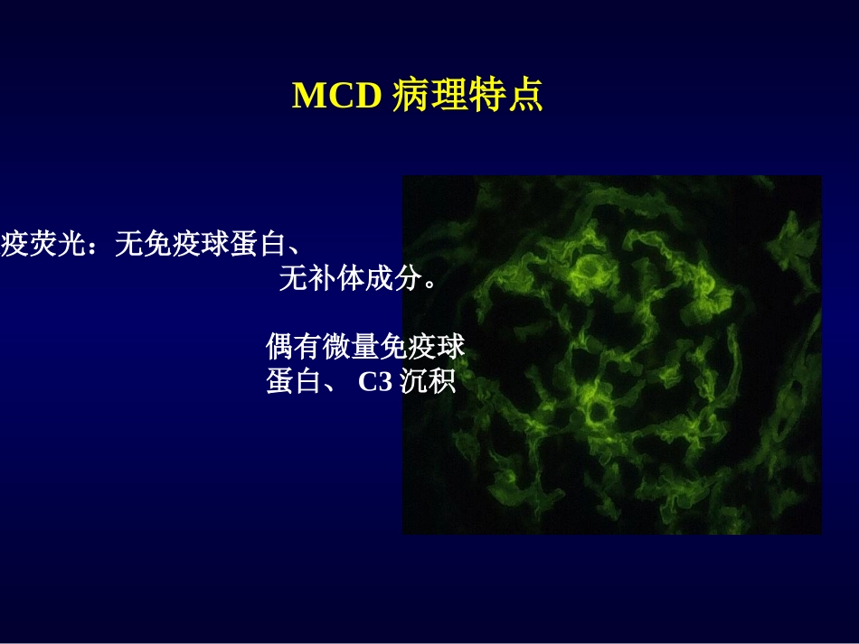 肾小球微小病变病_第3页