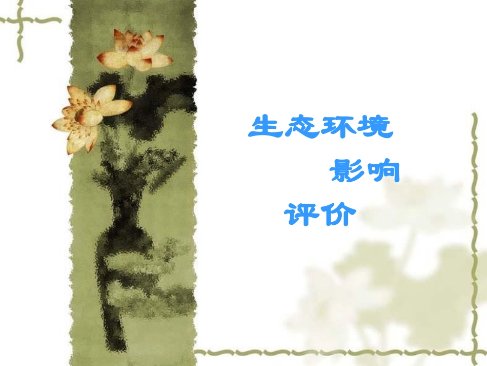 生态环境影响评价_第1页