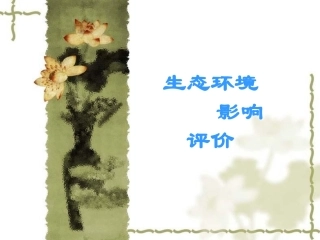 生态环境影响评价