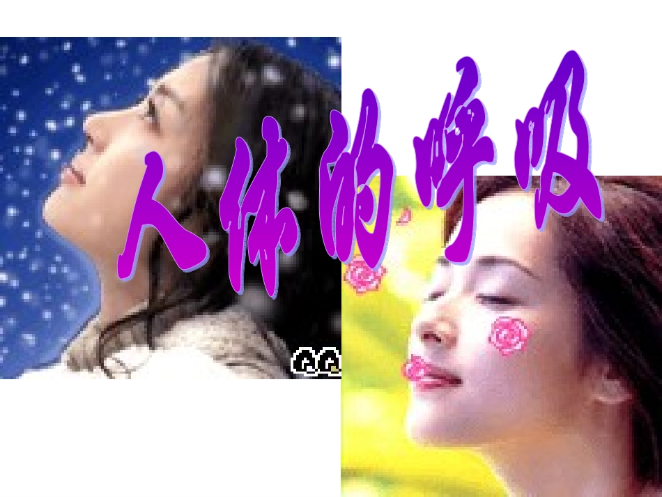 生物人体的呼吸_第1页