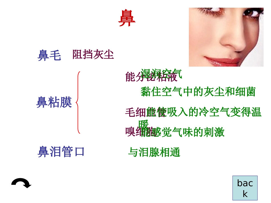生物人体的呼吸_第3页