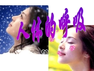 生物人体的呼吸