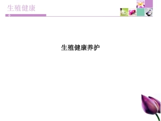 生殖健康养护