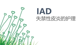 失禁性皮炎医学课件