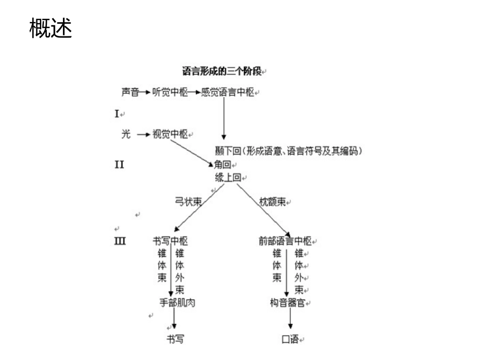 失语症的康复治疗_第2页