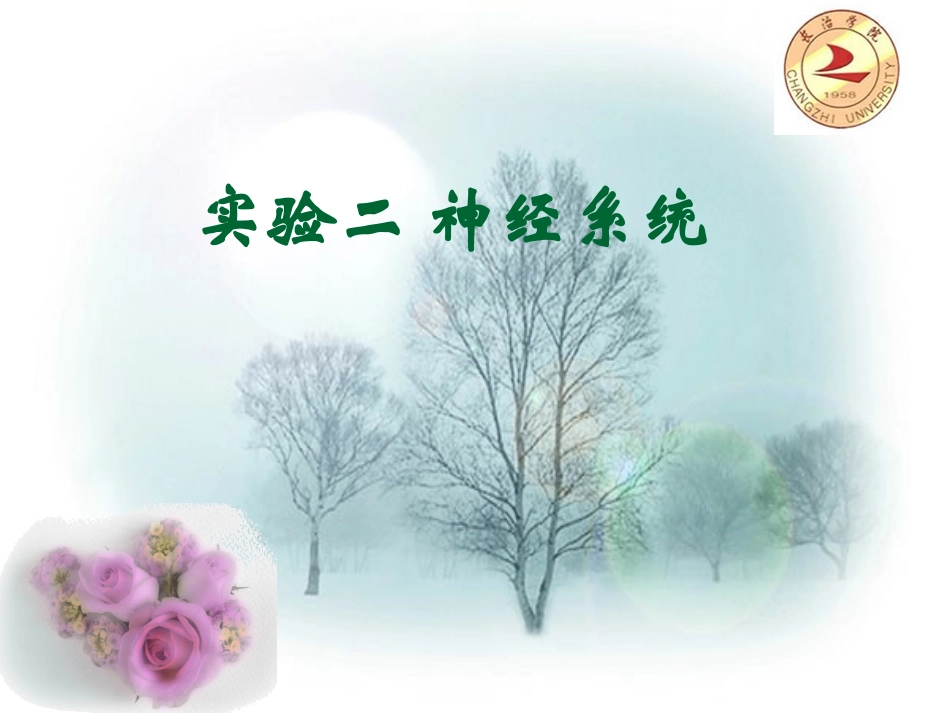 实验二神经系统_第1页