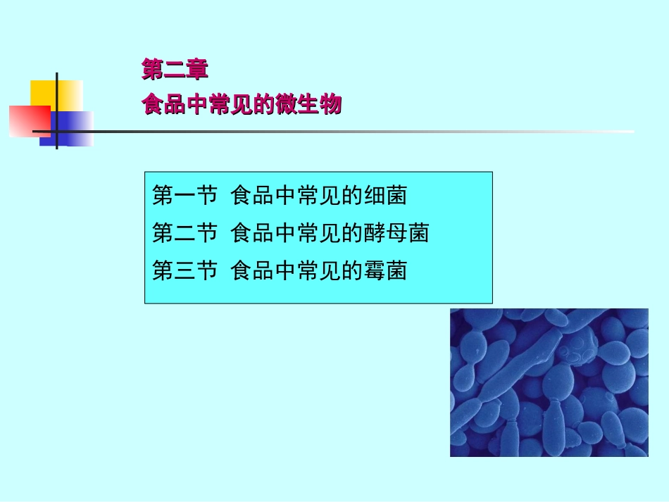 食品中的微生物_第2页