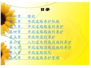 市政道路养护和管理方案