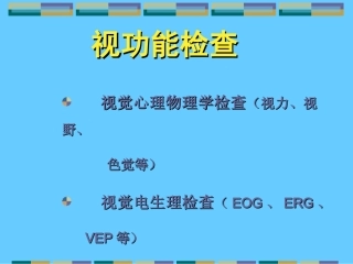 视功能检查法