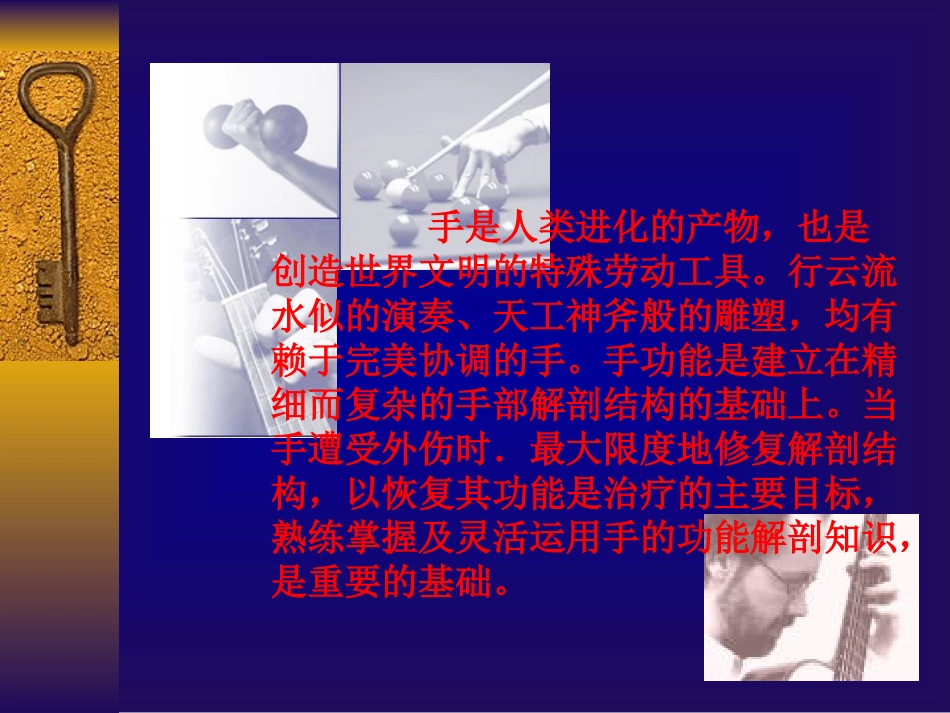 手部的解剖详细_第2页