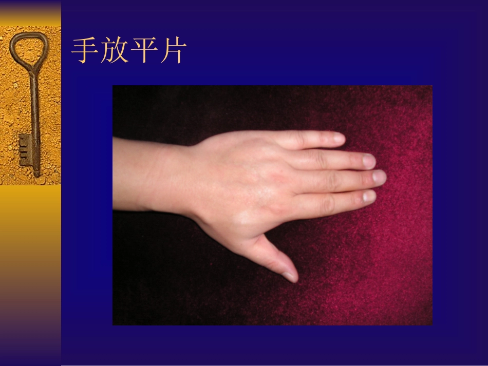 手部的解剖详细_第3页