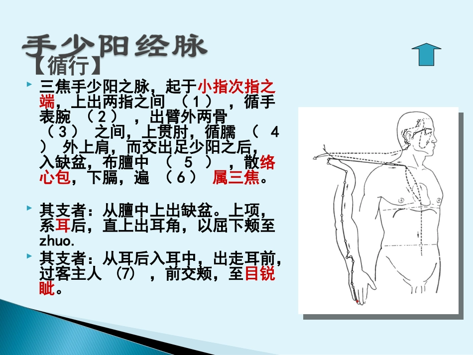 手少阳三焦经解答_第3页
