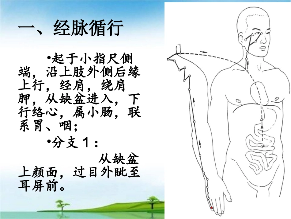 手太阳小肠经_第3页