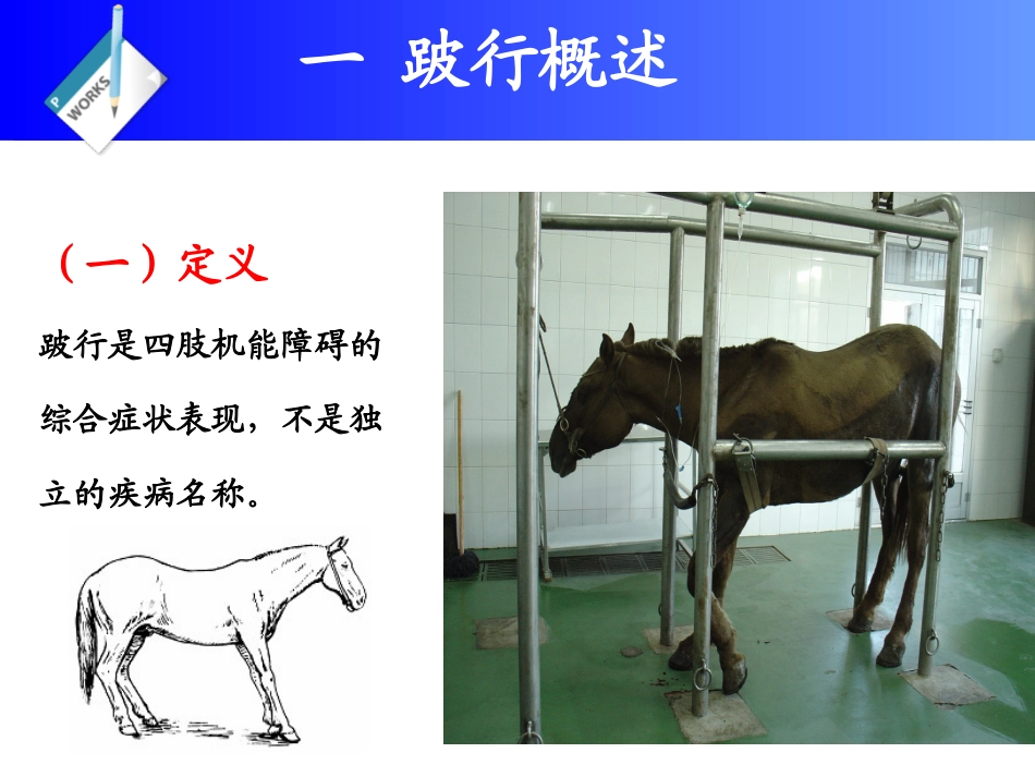 兽医外科学跛行_第2页