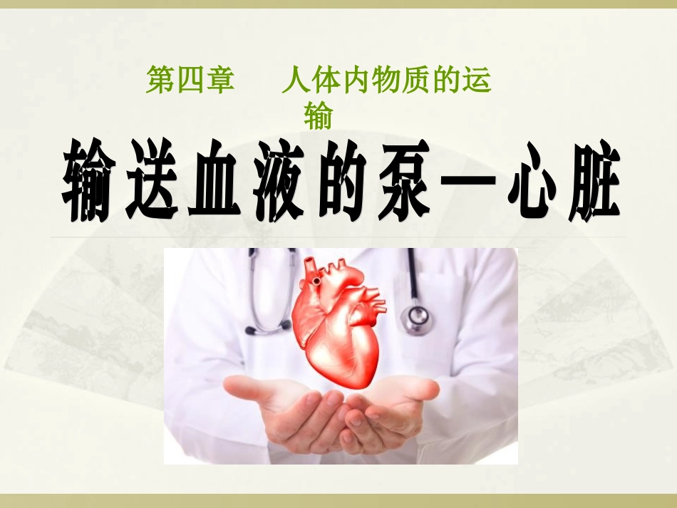 输送血液的泵心脏_第1页