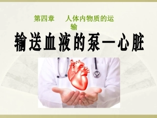 输送血液的泵心脏