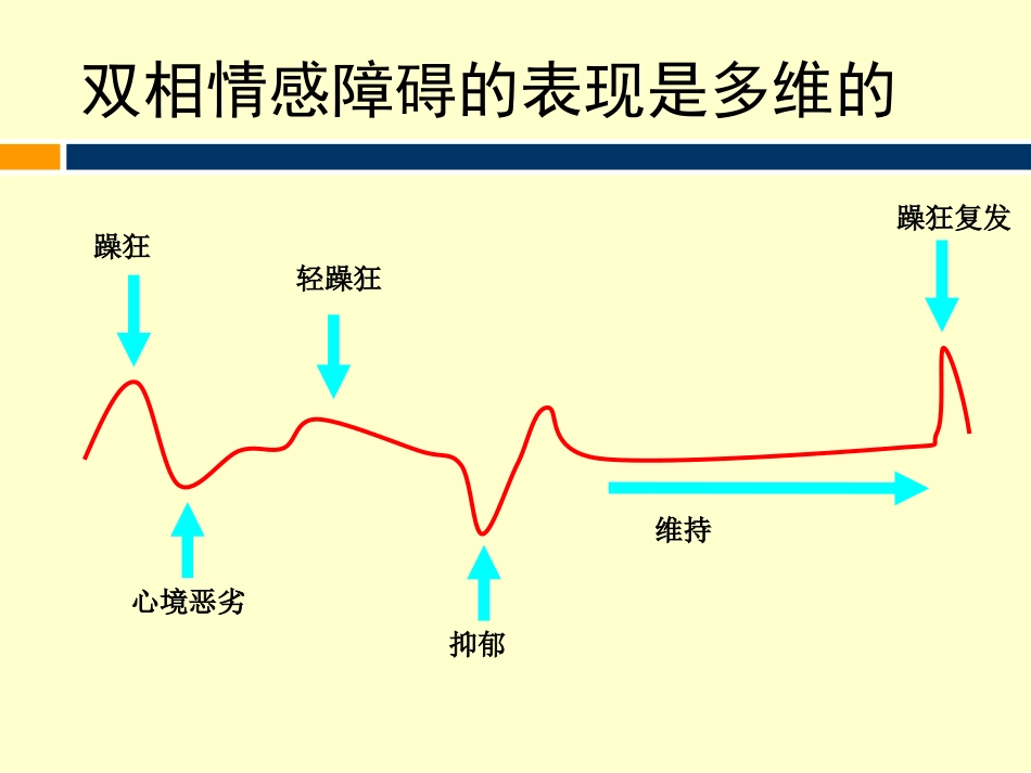 双相情感障碍治疗_第2页