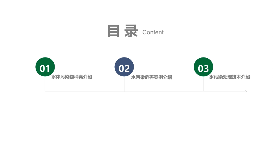 水污染的了解和治理_第2页