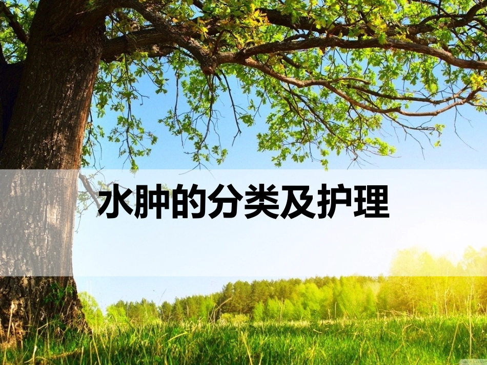 水肿的分类及护理_第1页