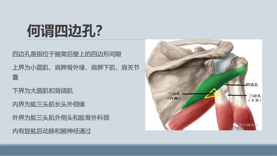 四边孔综合症_第2页